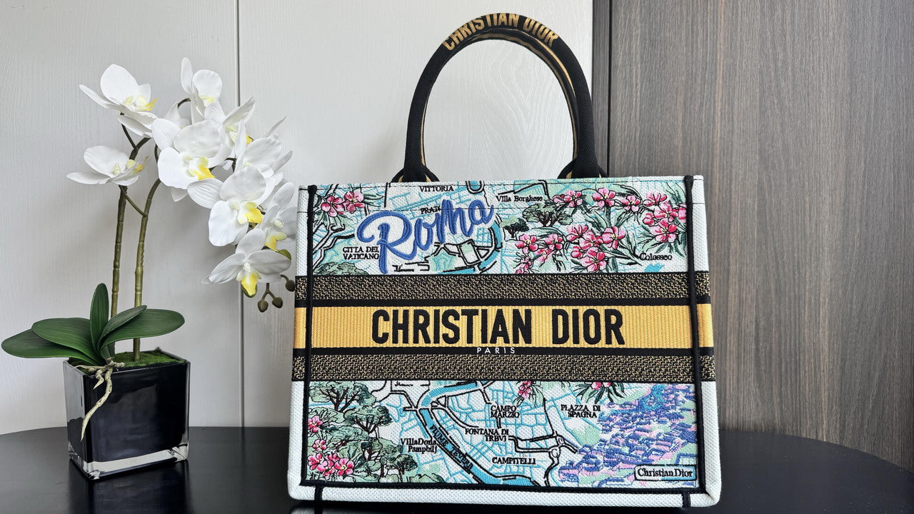 Dior Book Tote