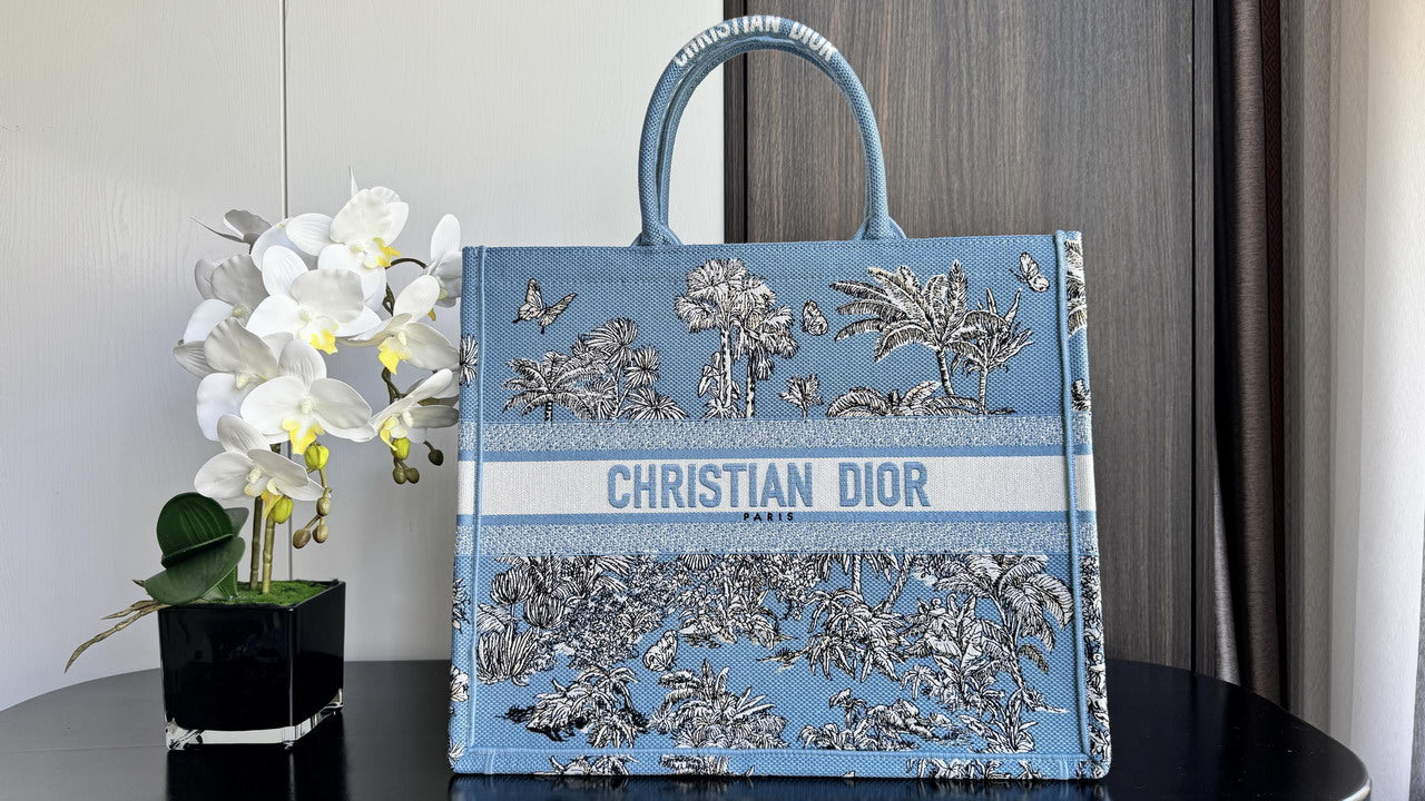 Dior Book Tote