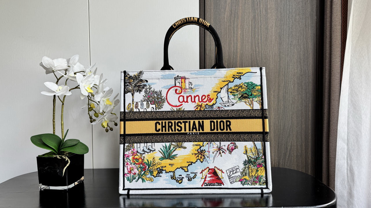 Dior Book Tote